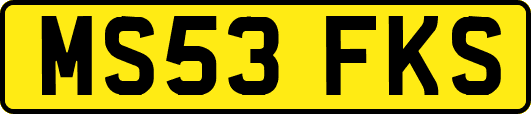 MS53FKS