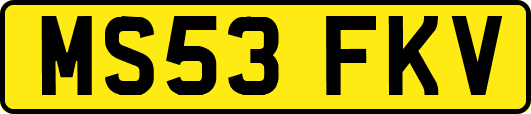 MS53FKV