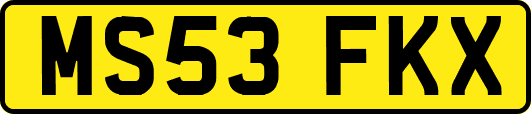 MS53FKX