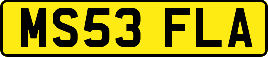 MS53FLA