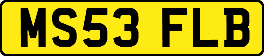 MS53FLB
