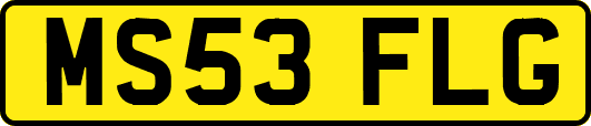 MS53FLG