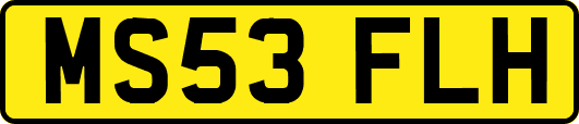 MS53FLH