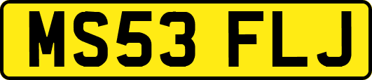 MS53FLJ