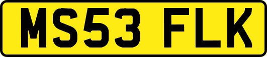 MS53FLK