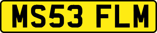 MS53FLM