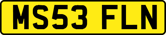MS53FLN