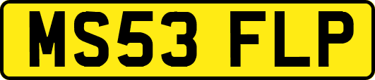MS53FLP