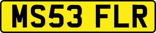 MS53FLR