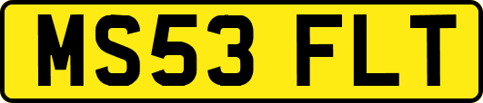 MS53FLT