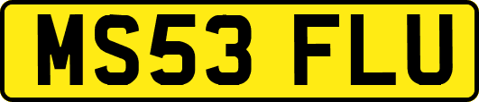 MS53FLU