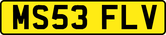MS53FLV