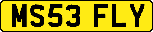 MS53FLY