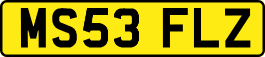 MS53FLZ