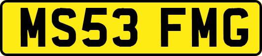 MS53FMG