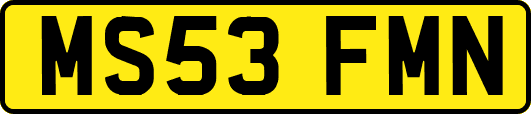 MS53FMN