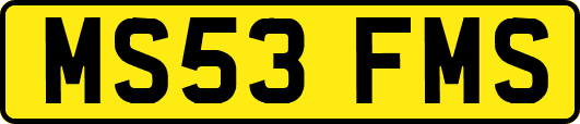 MS53FMS