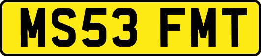 MS53FMT