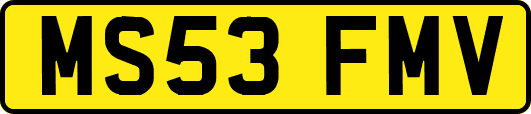 MS53FMV