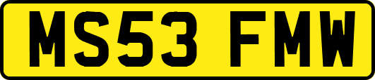 MS53FMW