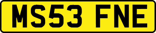 MS53FNE
