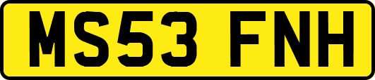 MS53FNH