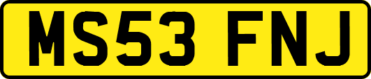MS53FNJ