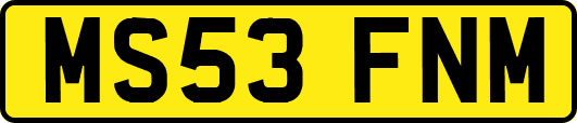 MS53FNM
