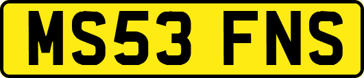 MS53FNS