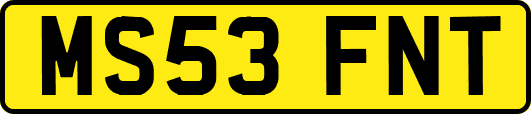 MS53FNT