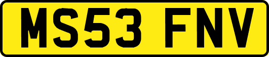 MS53FNV
