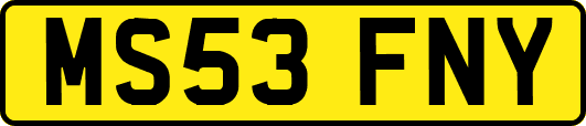 MS53FNY