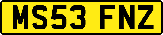 MS53FNZ
