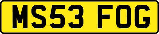 MS53FOG