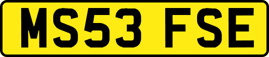 MS53FSE