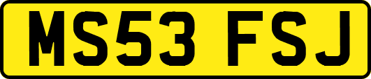MS53FSJ