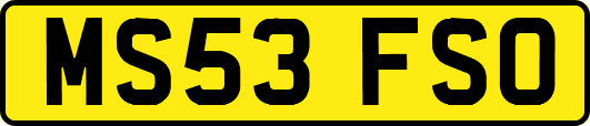 MS53FSO