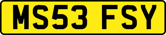 MS53FSY