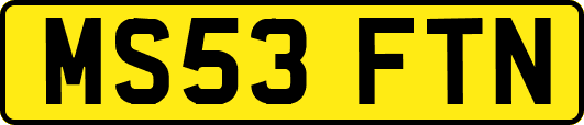 MS53FTN