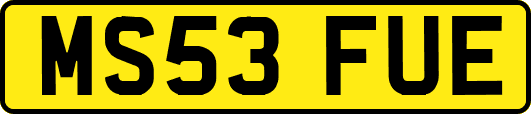 MS53FUE