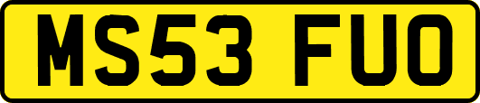 MS53FUO