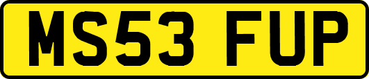 MS53FUP
