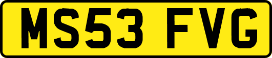 MS53FVG