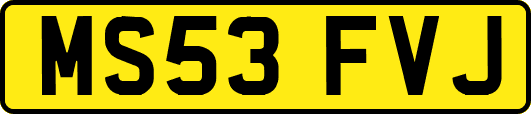MS53FVJ