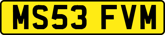 MS53FVM