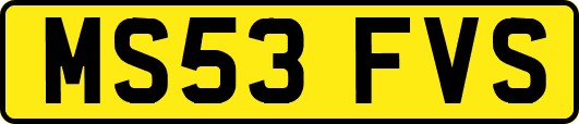 MS53FVS