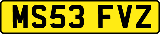 MS53FVZ