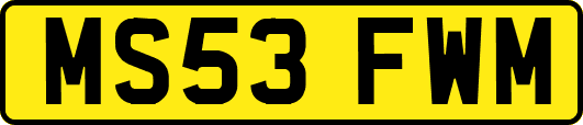 MS53FWM