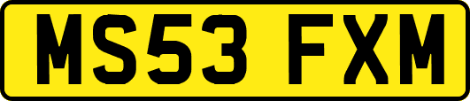 MS53FXM