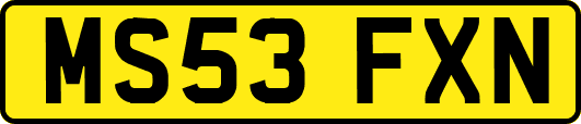 MS53FXN